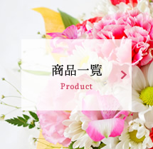 商品一覧 Product