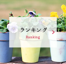 ランキング Ranking