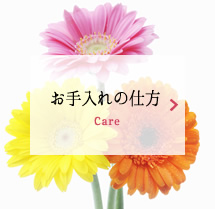 お手入れの仕方 Care